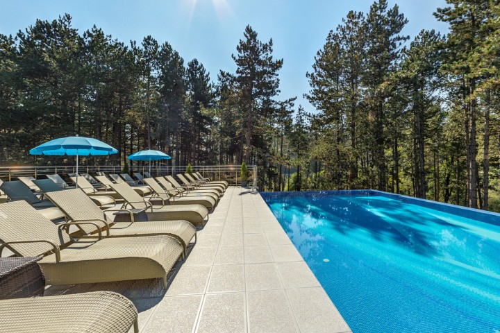 Villa Dea & SPA Park в Велинграде 21 FlatAway