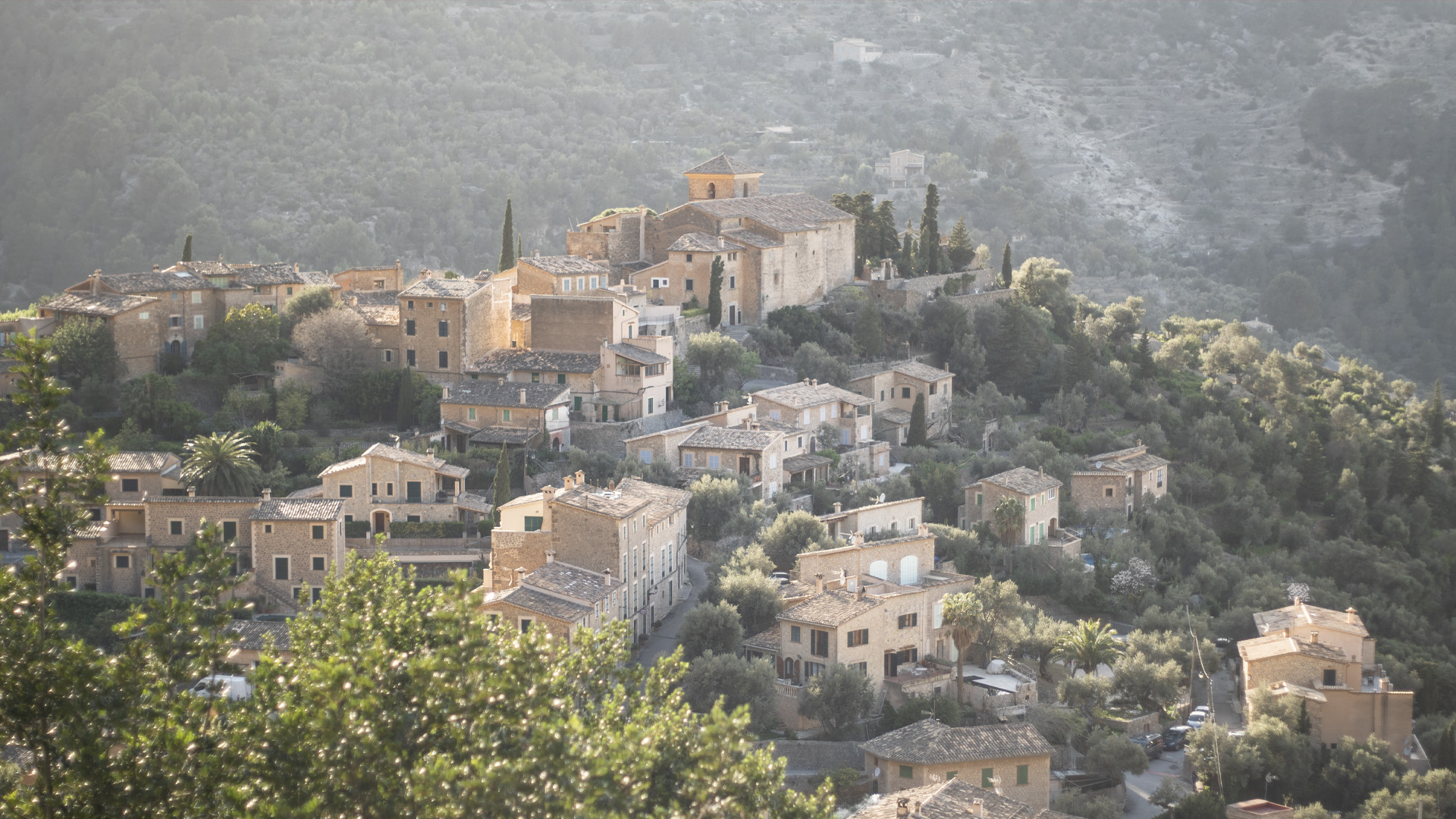 S'HORT DE SA FONT 36 Island Homes Mallorca