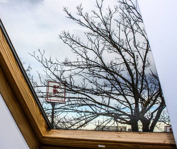 Split Crib | Brasov 5 SocialSpot